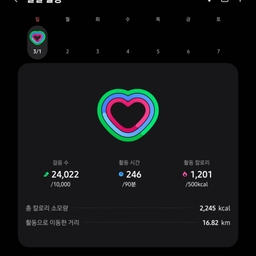 피드에 업로드 된 이미지