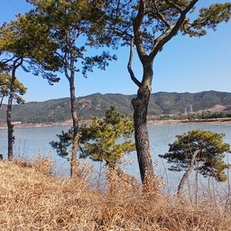 피드에 업로드 된 이미지