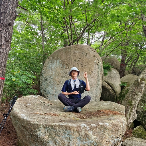 피드 이미지