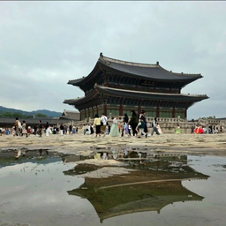 피드에 업로드 된 이미지