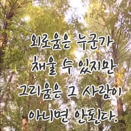 피드에 업로드 된 이미지