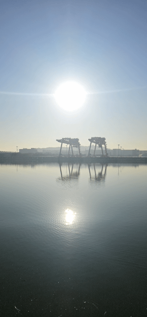 피드에 업로드 된 이미지