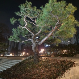 피드에 업로드 된 이미지