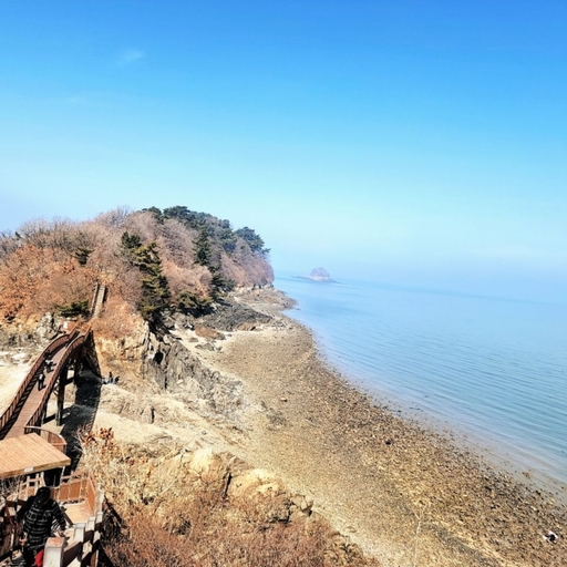 ํผ๋ ์ด๋ฏธ์ง