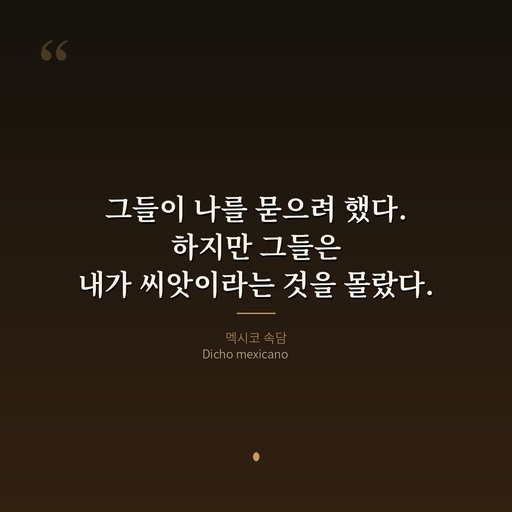 피드 이미지