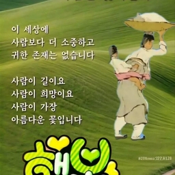 피드에 업로드 된 이미지