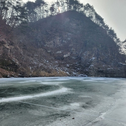 피드에 업로드 된 이미지