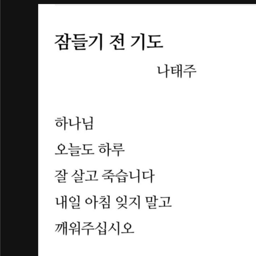 피드 이미지