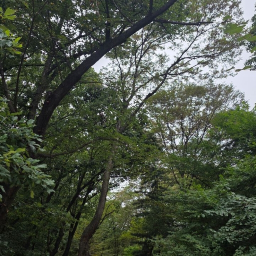 피드 이미지