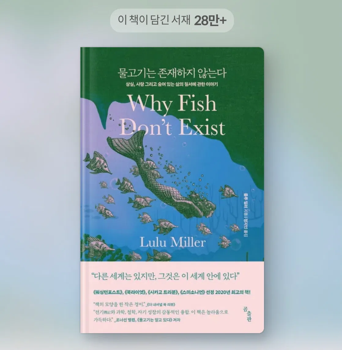 피드 이미지
