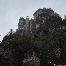 피드에 업로드 된 이미지