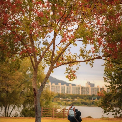 피드 이미지