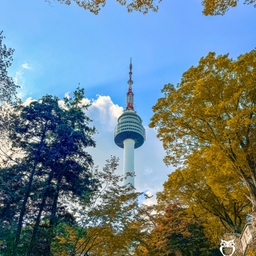 피드에 업로드 된 이미지