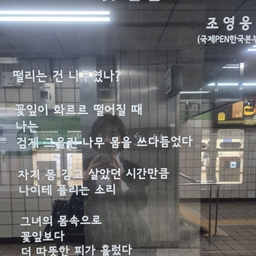 피드에 업로드 된 이미지