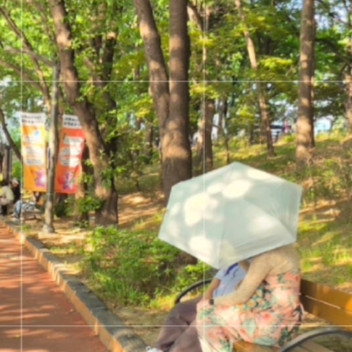 피드 이미지