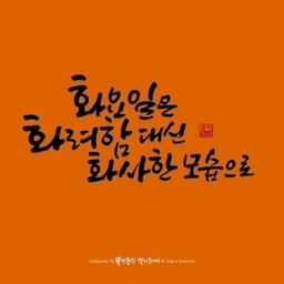 피드에 업로드 된 이미지