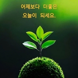 모임 이미지