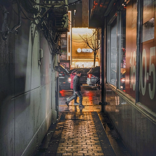 피드 이미지