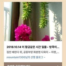 피드에 업로드 된 이미지