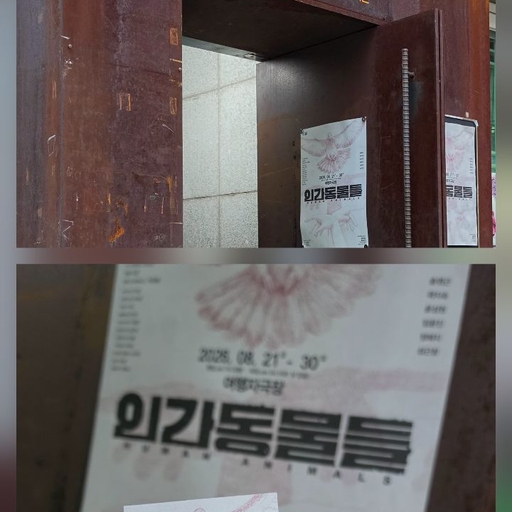 피드 이미지