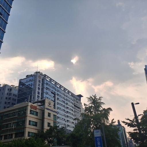 피드 이미지