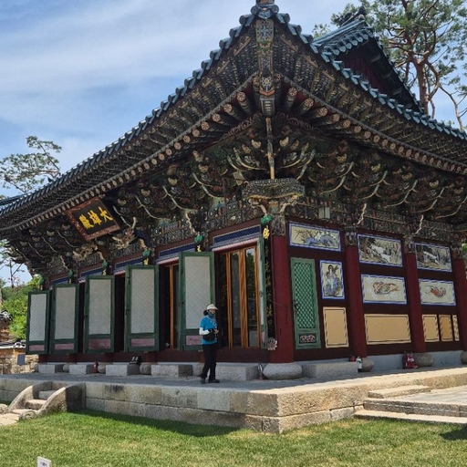 피드 이미지