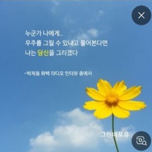 피드 이미지