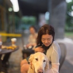 피드에 업로드 된 이미지