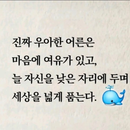 피드 이미지
