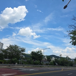 피드에 업로드 된 이미지