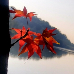 ํผ๋์ ์
๋ก๋ ๋ ์ด๋ฏธ์ง