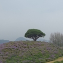 참가 유저 프로필