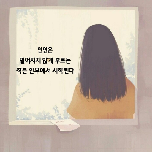 피드 이미지