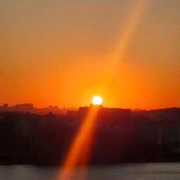 피드에 업로드 된 이미지