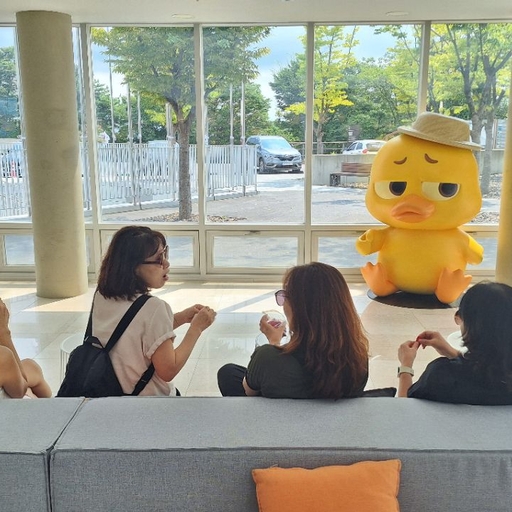 피드 이미지