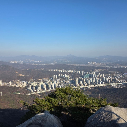 피드 이미지