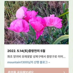 피드에 업로드 된 이미지