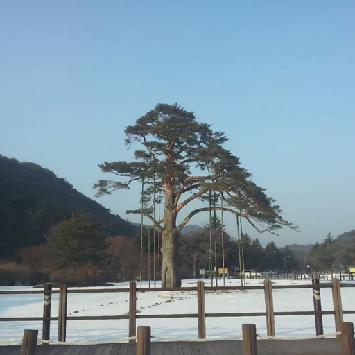 피드 이미지