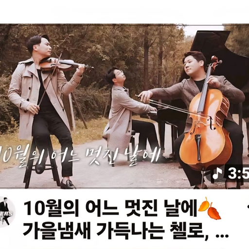 피드 이미지