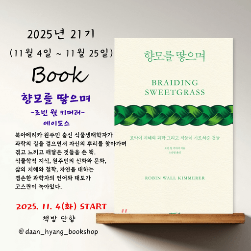 피드 이미지