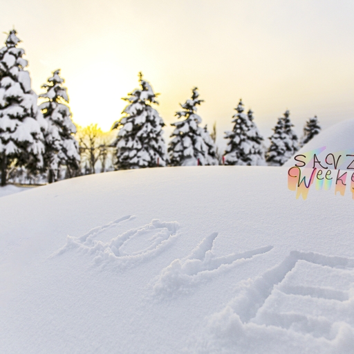 모임 대표 이미지