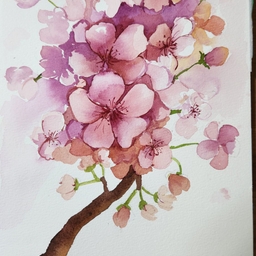 피드에 업로드 된 이미지