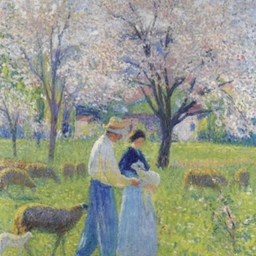 피드에 업로드 된 이미지