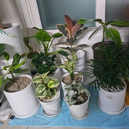 피드에 업로드 된 이미지