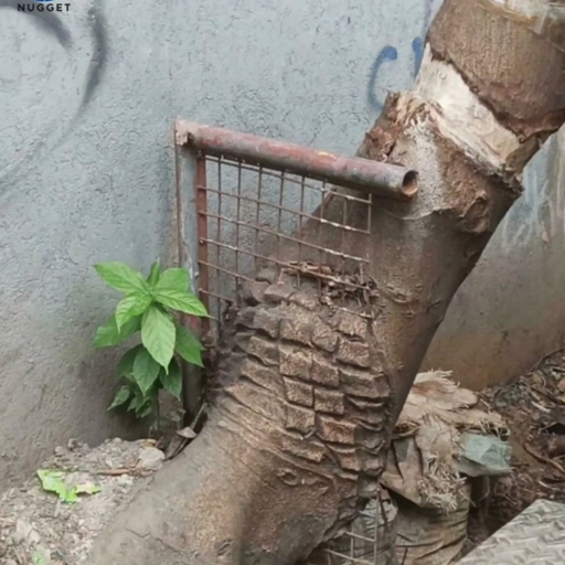피드 이미지