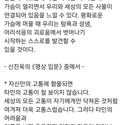 피드에 업로드 된 이미지