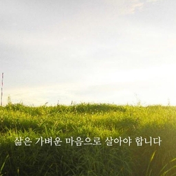 피드에 업로드 된 이미지