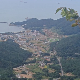 피드에 업로드 된 이미지