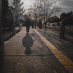 피드에 업로드 된 이미지