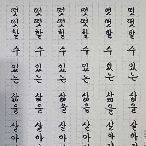 피드 이미지